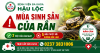 3 việc phải làm ngay và 5 điều tuyệt đối không nên làm khi bị rắn cắn