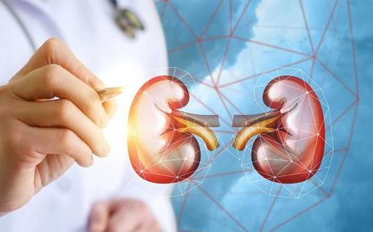 Sỏi tiết niệu ở trẻ: Phát hiện muộn có thể ảnh hưởng chức năng thận