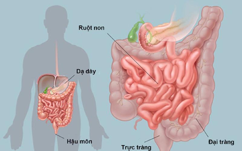 5 sai lầm khi chăm sóc người cao tuổi bị khó tiêu kéo dài